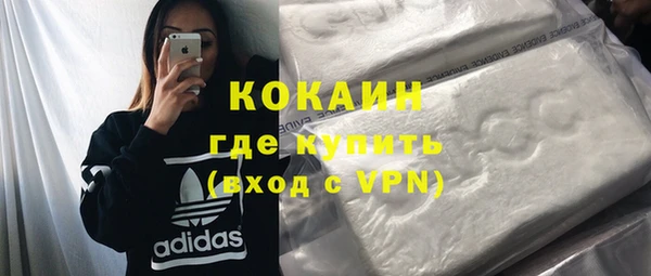 индика Балабаново