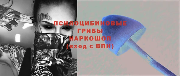 индика Балабаново