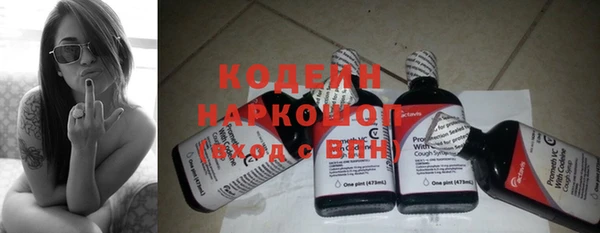 индика Балабаново