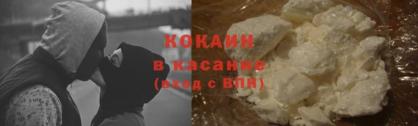 индика Балабаново