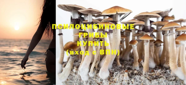 индика Балабаново