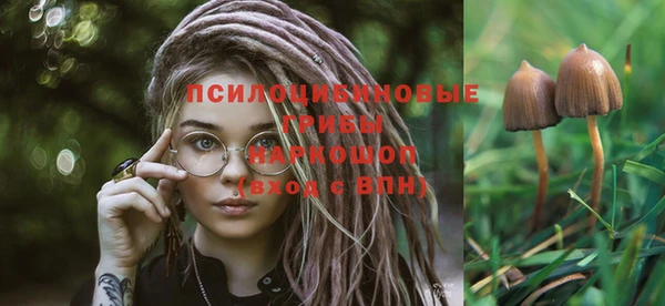 индика Балабаново