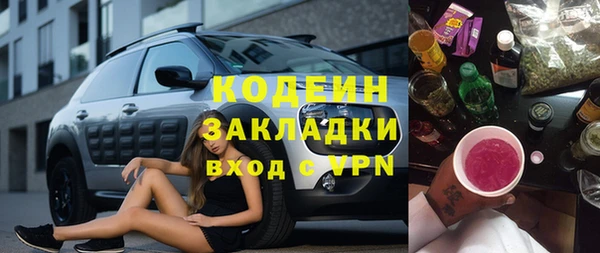 индика Балабаново