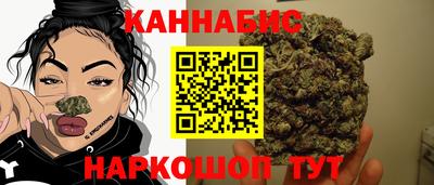 скорость Кингисепп