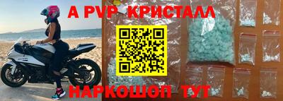 скорость Кингисепп