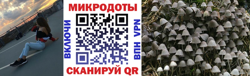Псилоцибиновые грибы мухоморы  Коммунар 