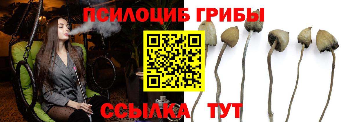 Псилоцибиновые грибы Magic Shrooms  Галлюциногенные грибы GOLDEN TEACHER  Вход с VPN  даркнет сайт  Коммунар 